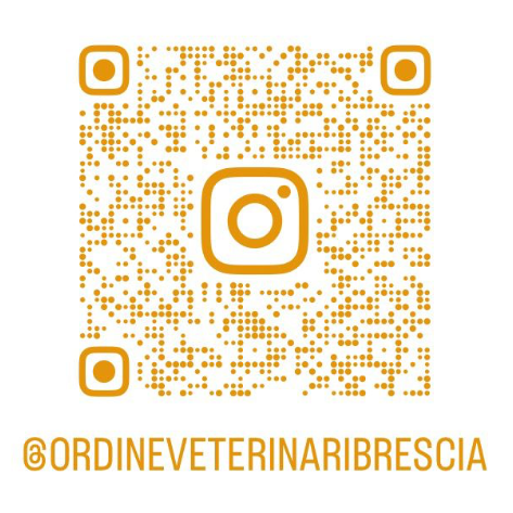 Img Qr Code Instagram