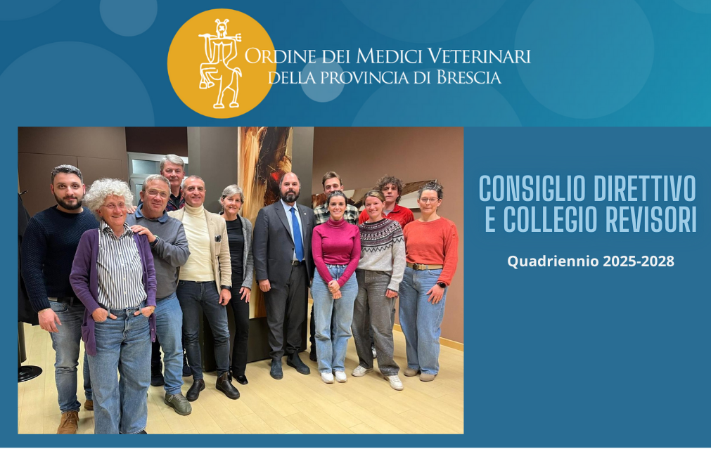 Consiglio E Collegio