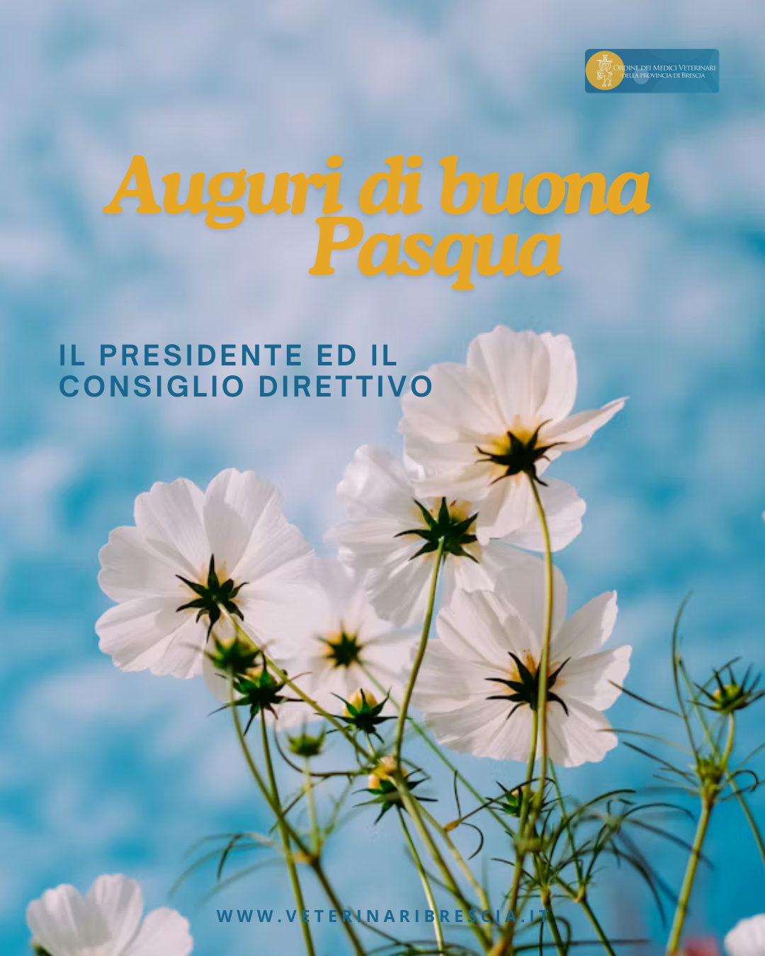 Auguri S. Pasqua 2026