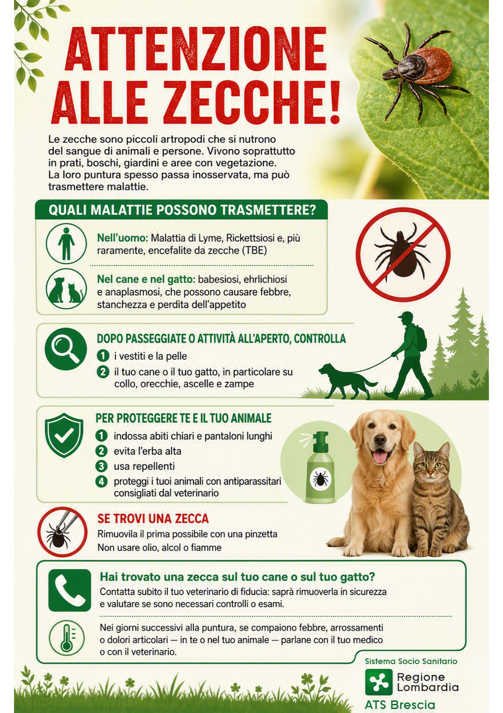 ATTENZIONE ALLE ZECCHE LOCANDINA INFORMATIVA Conv 1