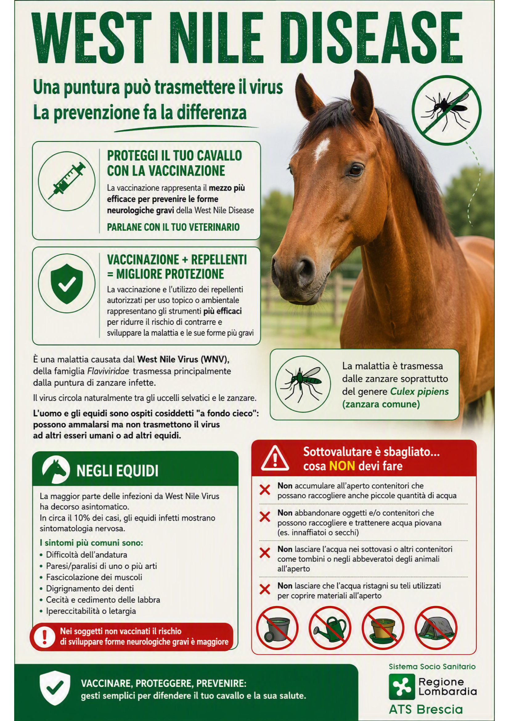 WEST NILE INFORMAZIONI PER PROPRIETARI DI CAVALLI Conv 1